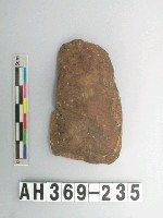 藏品(石錛)的圖片